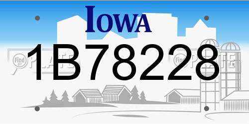 1B78228 Iowa License Plate