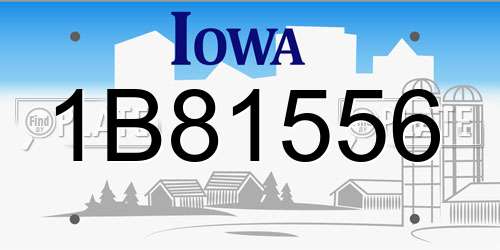 1B81556 Iowa License Plate
