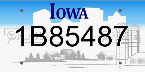 1B85487 Iowa License Plate