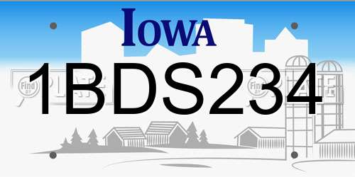1BDS234 Iowa License Plate