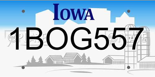 1BOG557 Iowa License Plate