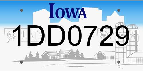 1DD0729 Iowa License Plate