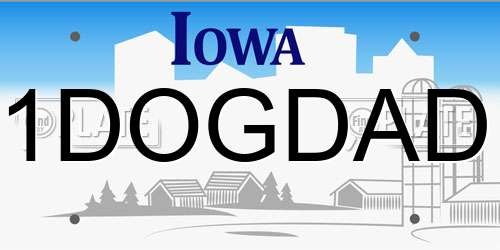 1DOGDAD Iowa License Plate