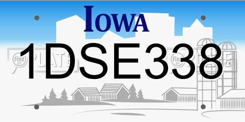 1DSE338 Iowa License Plate