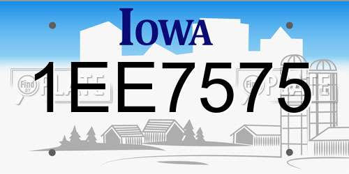 1EE7575 Iowa License Plate