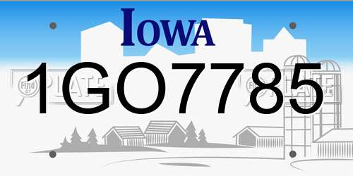 1GO7785 Iowa License Plate