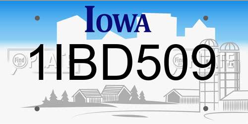 1IBD509 Iowa License Plate
