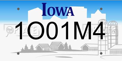 1O01M4 Iowa License Plate