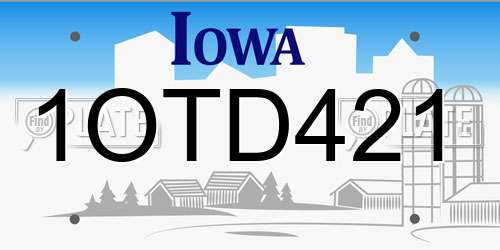 1OTD421 Iowa License Plate