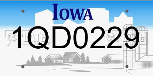 1QD0229 Iowa License Plate