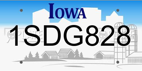 1SDG828 Iowa License Plate