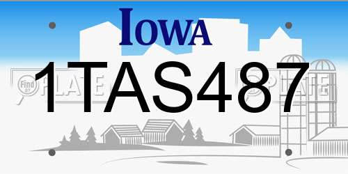 1TAS487 Iowa License Plate