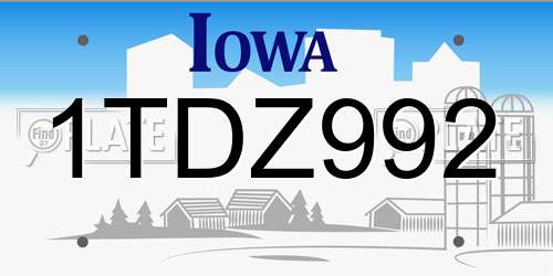 1TDZ992 Iowa License Plate
