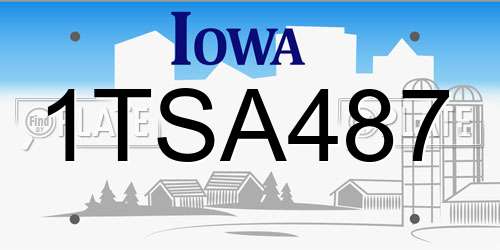 1TSA487 Iowa License Plate