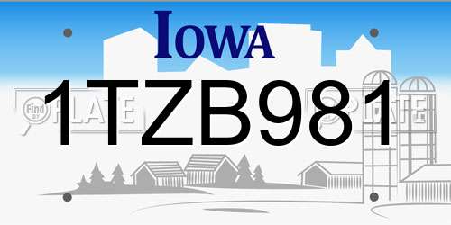 1TZB981 Iowa License Plate