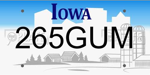 265GUM Iowa License Plate
