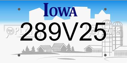 289V25 Iowa License Plate