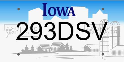 293DSV Iowa License Plate