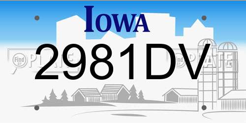 2981DV Iowa License Plate