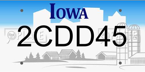 2CDD45 Iowa License Plate