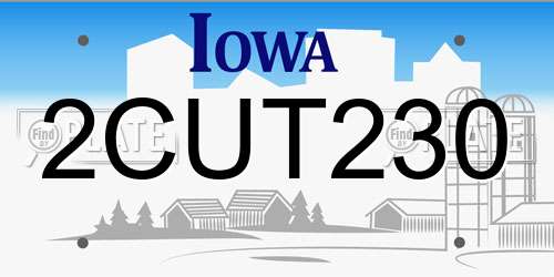 2CUT230 Iowa License Plate