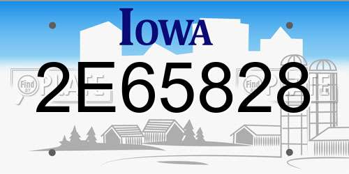 2E65828 Iowa License Plate