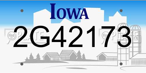 2G42173 Iowa License Plate