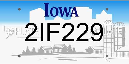 2IF229 Iowa License Plate