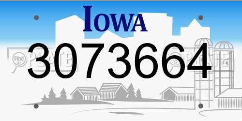 3073664 Iowa License Plate