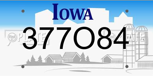 377O84 Iowa License Plate