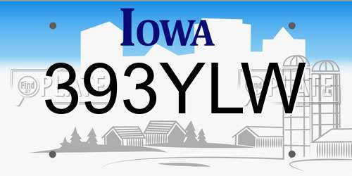 393YLW Iowa License Plate
