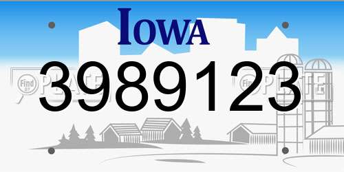 3989123 Iowa License Plate