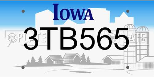 3TB565 Iowa License Plate