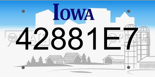 42881E7 Iowa License Plate