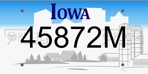 45872M Iowa License Plate