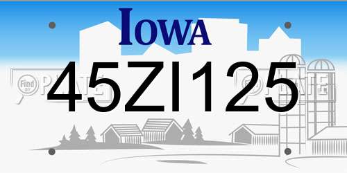 45ZI125 Iowa License Plate