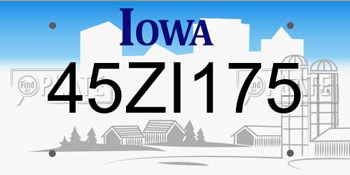 45ZI175 Iowa License Plate