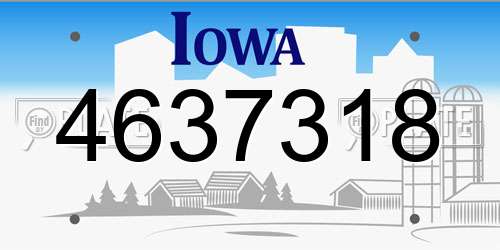4637318 Iowa License Plate