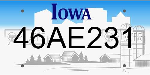 46AE231 Iowa License Plate