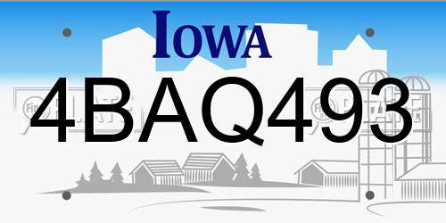 4BAQ493 Iowa License Plate