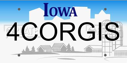 4CORGIS Iowa License Plate