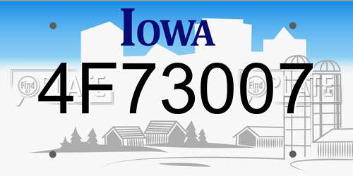 4F73007 Iowa License Plate