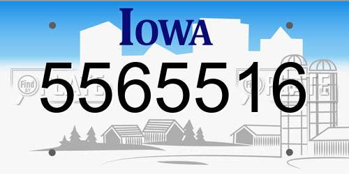 5565516 Iowa License Plate