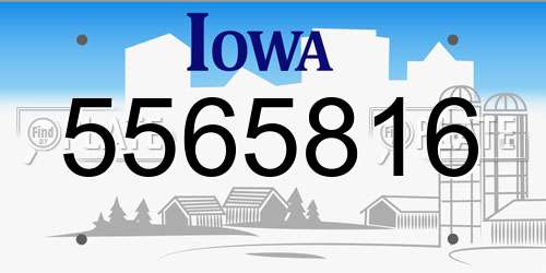 5565816 Iowa License Plate