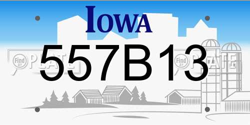 557B13 Iowa License Plate