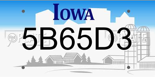 5B65D3 Iowa License Plate