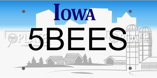 5BEES Iowa License Plate