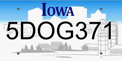 5DOG371 Iowa License Plate