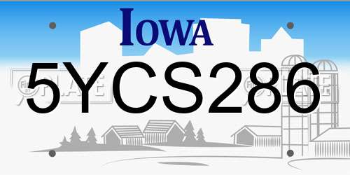 5YCS286 Iowa License Plate