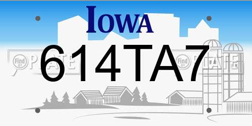 614TA7 Iowa License Plate